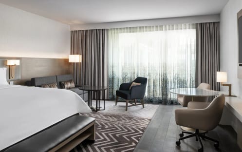 Larger Studio, 1 King, Sofa Bed